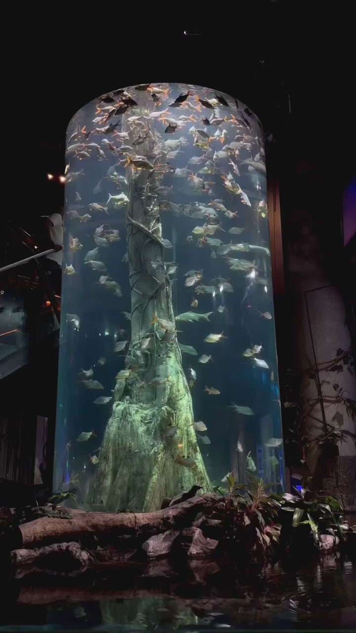 Phuket - Aquaria Phuket and AR Trick Eye Museum Tickets