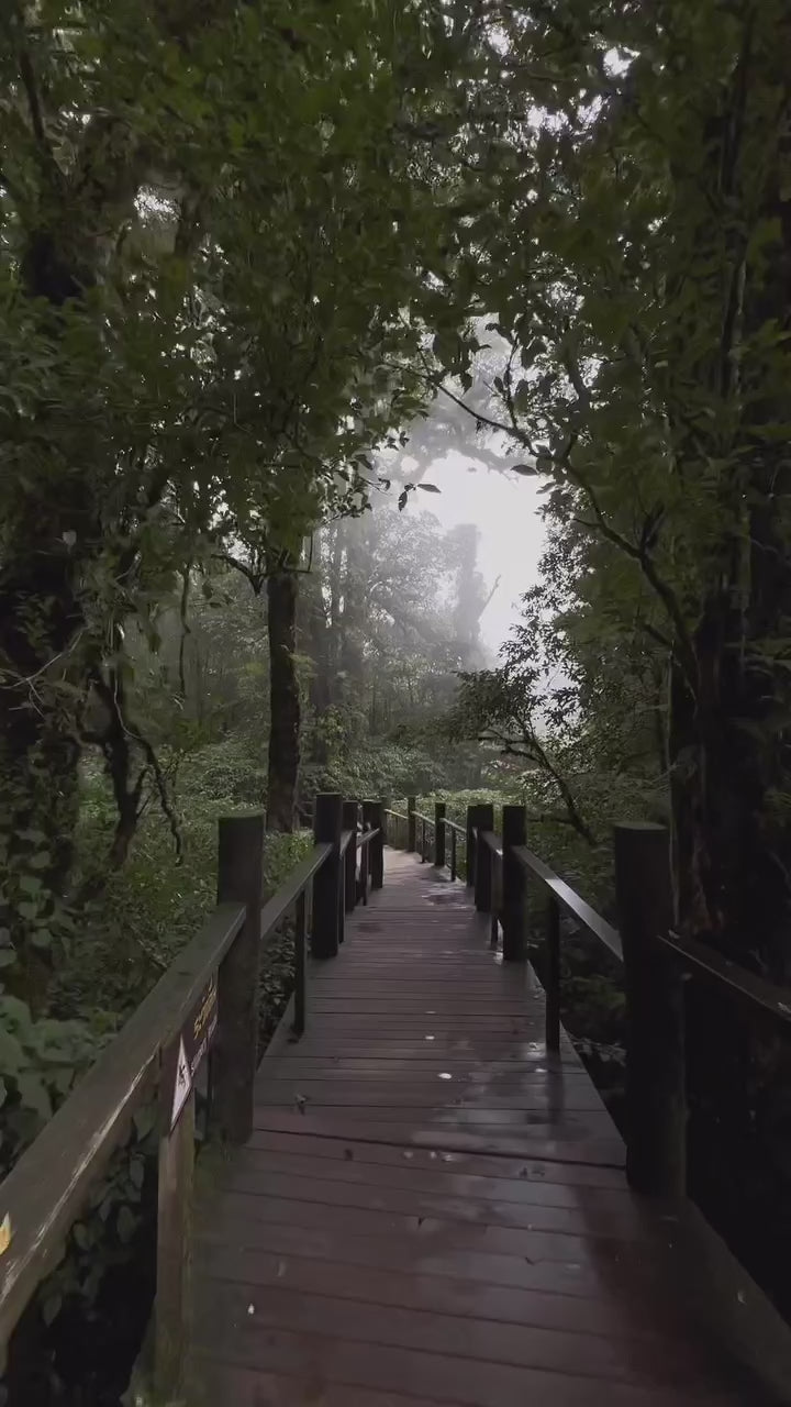 Chiang Mai - Doi Inthanon National Park – Full Day Tour (SIC)