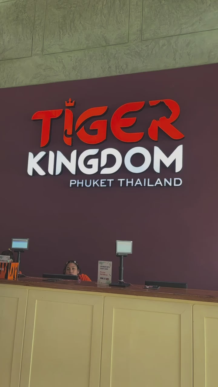 Phuket - Tiger Kingdom