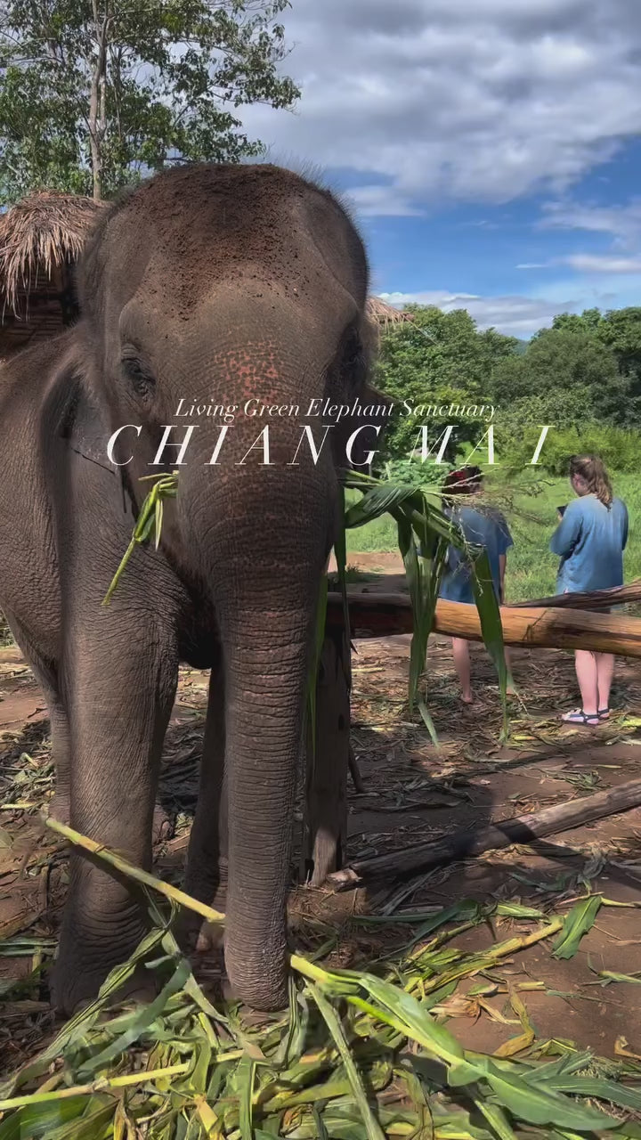 Chiang Mai - Living Green Elephant Sanctuary
