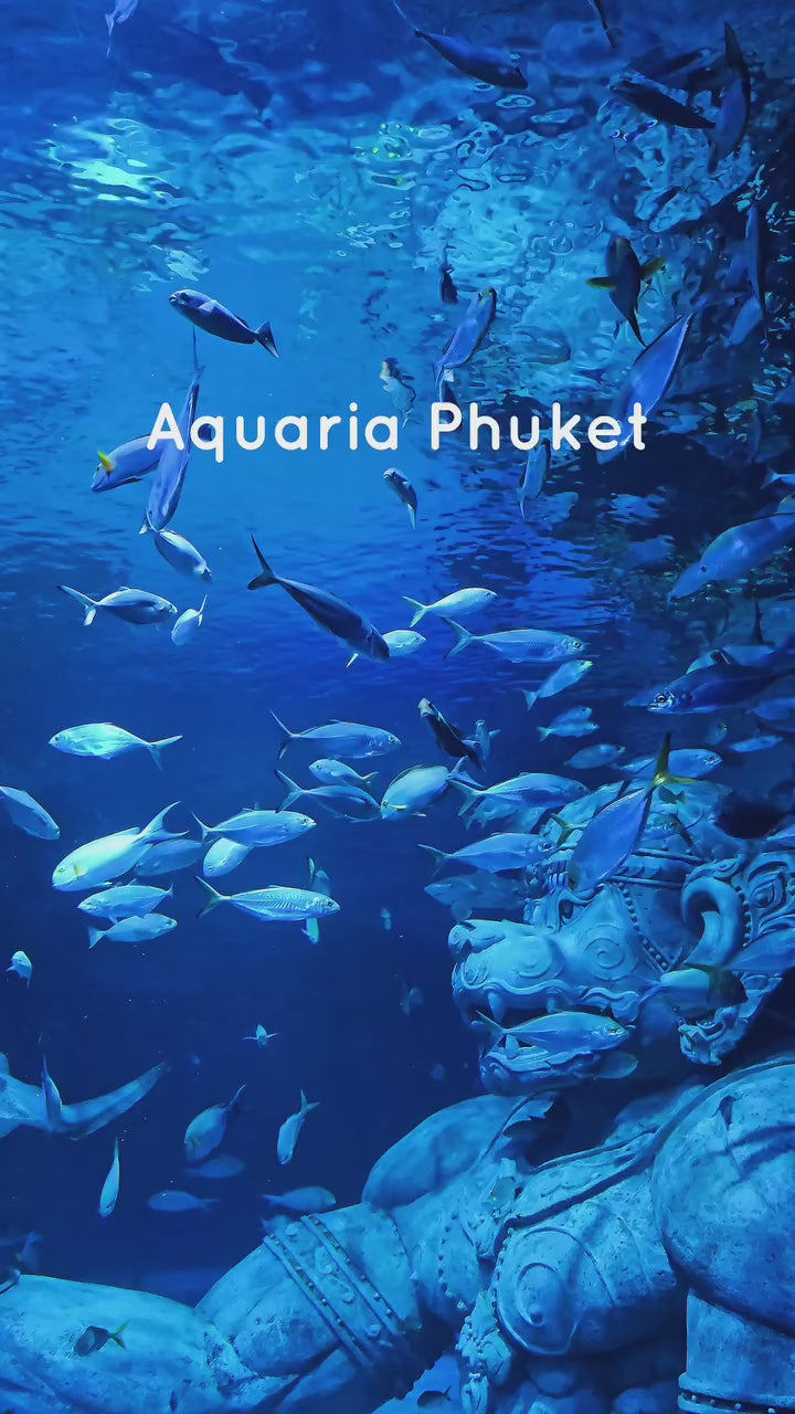 Phuket: Aquaria