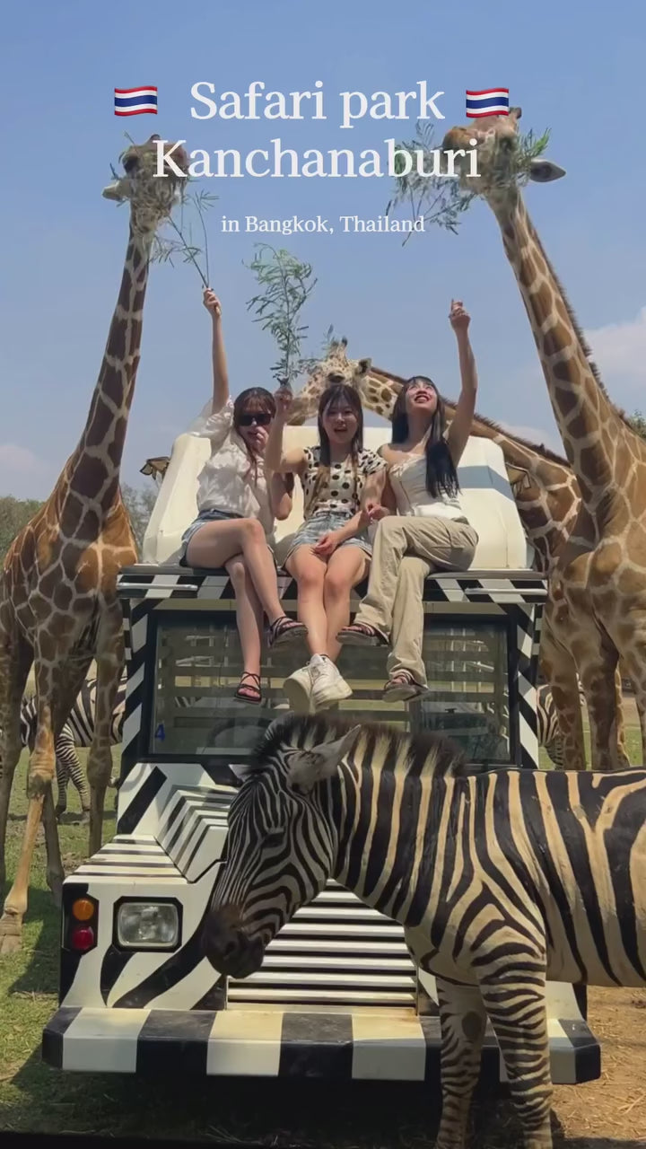 Kanchanaburi - Safari Park