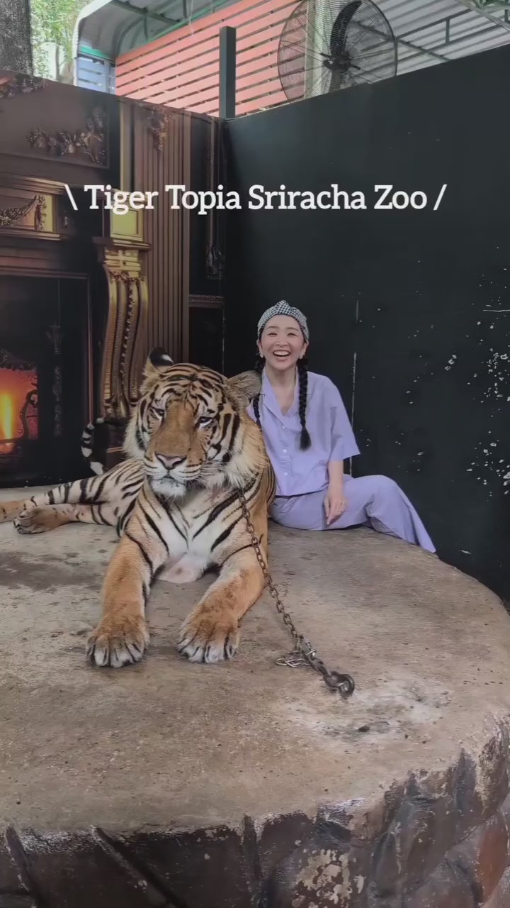 Pattaya – Tiger Topia Sriracha Zoo