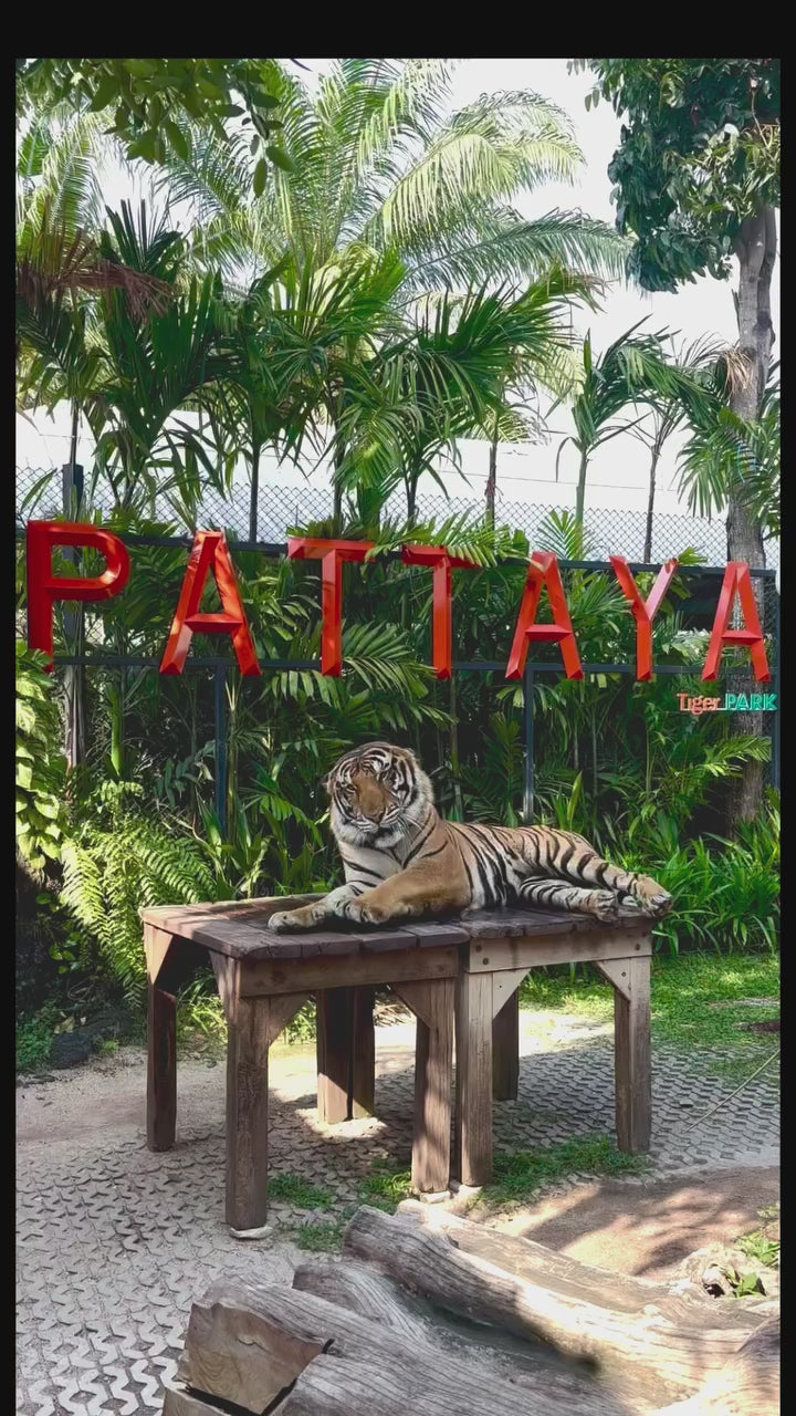 Pattaya - Tiger Park