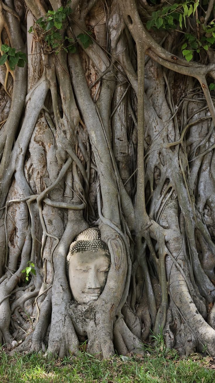 Bangkok - Ayutthaya Tour